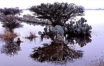 Reflections