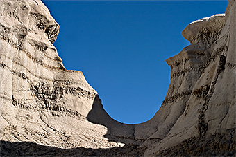 Light and Dark Curve